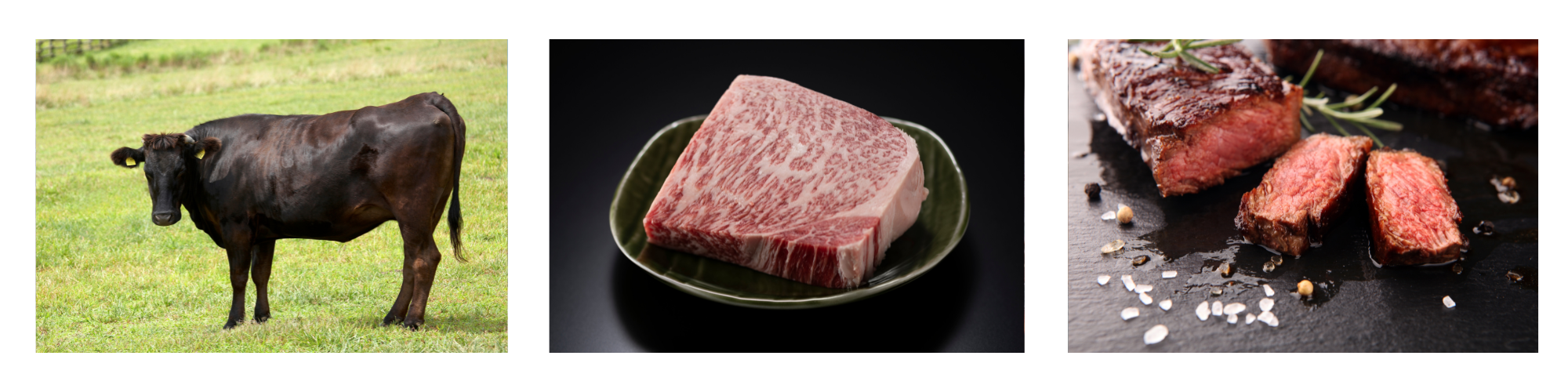 Wagyu