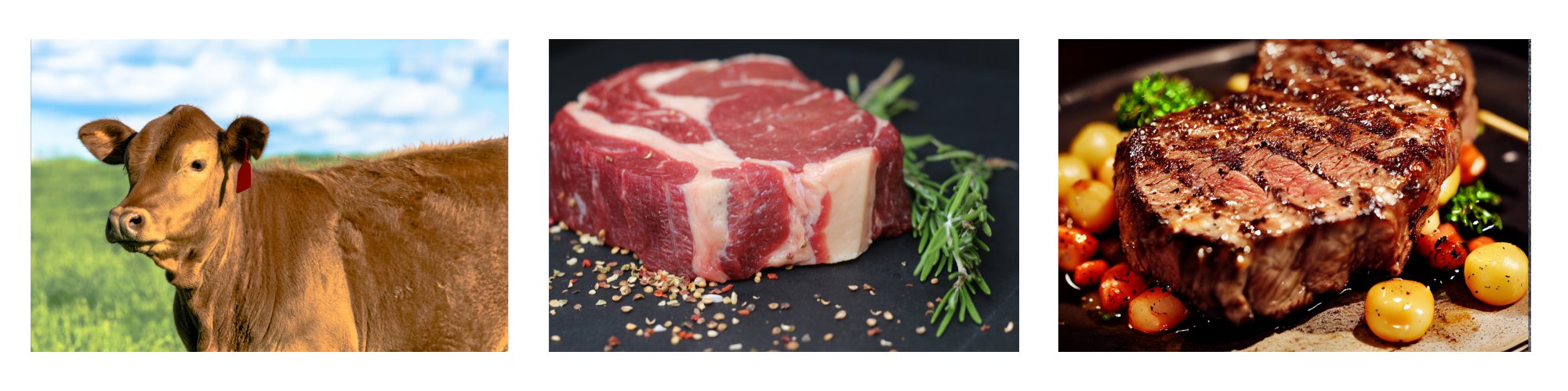 Edle Steakcuts vom Rind