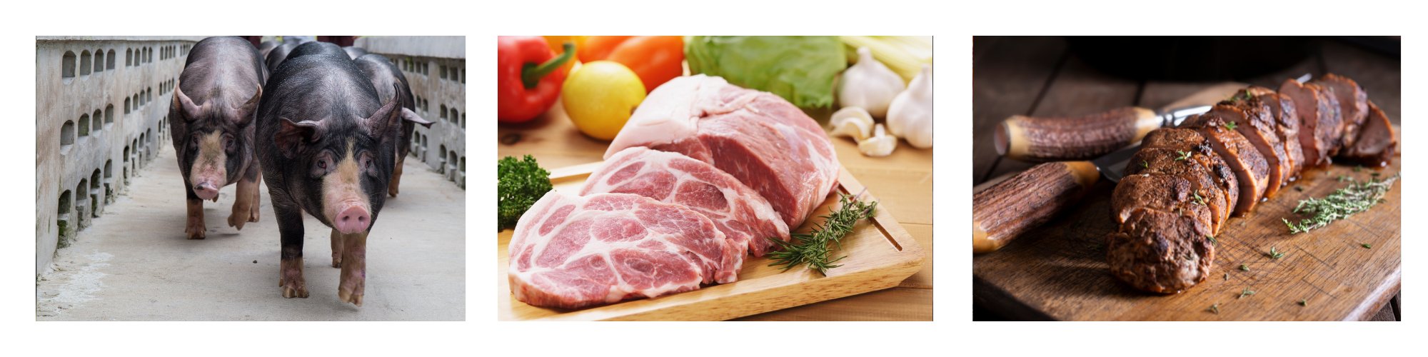 Low&Slow vom Schwein