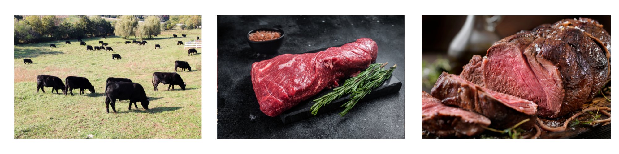 Tri Tip vom Rind – ein Wagyu-Rind, ein rohes Bürgermeisterstück und ein perfekt gegartes Tri Tip-Steak. Ein zarter, aromatischer Cut aus der Rinderkeule, ideal für Grill oder Pfanne und beliebt wegen seiner Saftigkeit und Struktur.