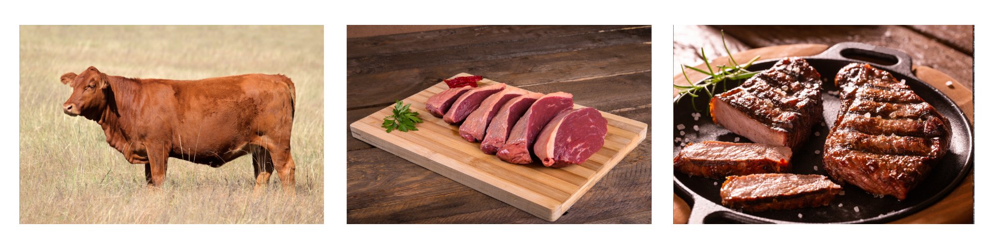 Picanha vom Rind – ein rohes Stück mit typischer Fettschicht und ein saftig gegrilltes Steak, wie es traditionell beim brasilianischen BBQ zubereitet wird. Zartes Fleisch aus dem Rumpfbereich mit intensivem Aroma