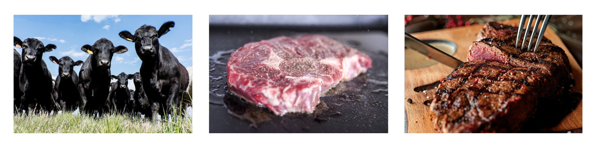 Rinderfleisch kaufen auf Meatshop.de