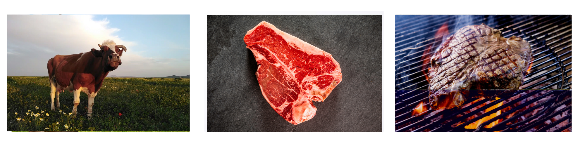 T-Bone / Porterhouse