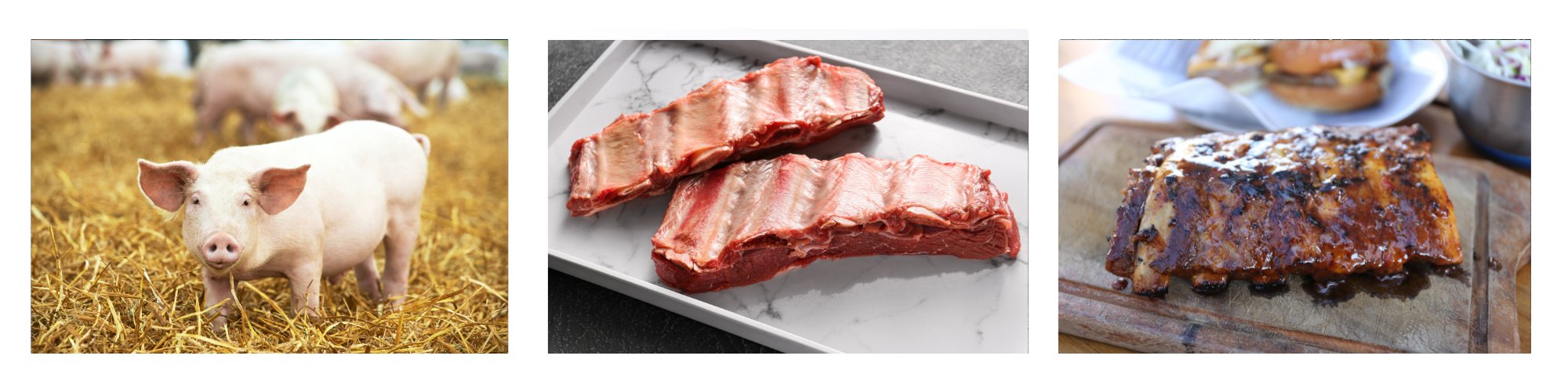 Loin Ribs/ Baby Back Ribs