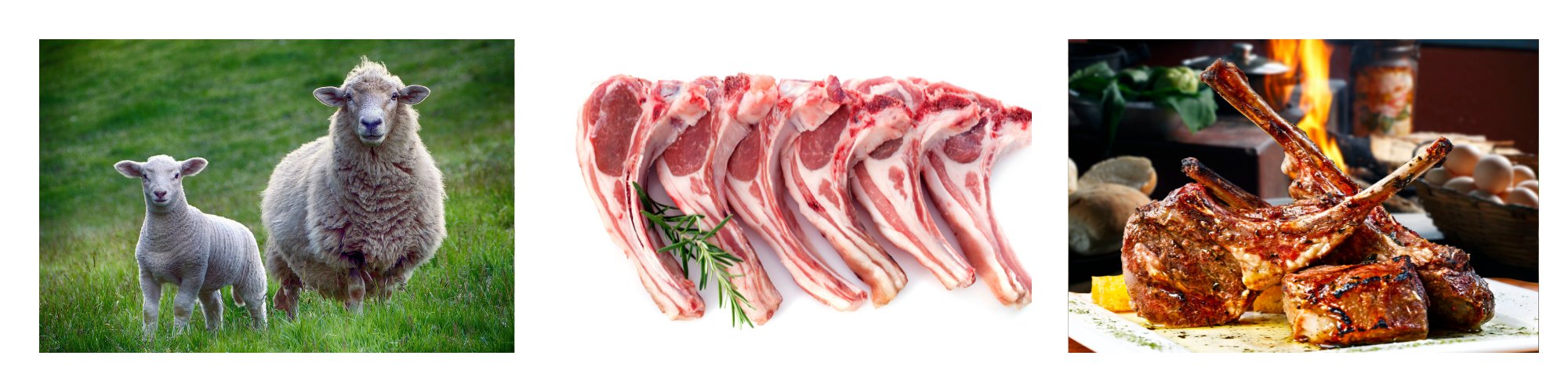 Lammfleisch kaufen auf Meatshop.de