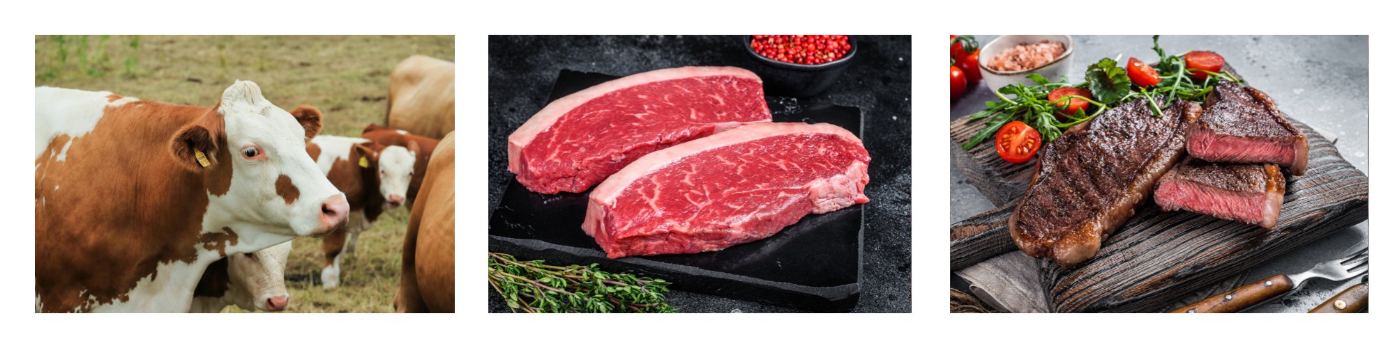 Rumpsteak / Roastbeef