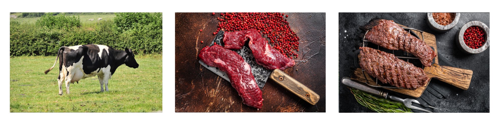 Flap Steak