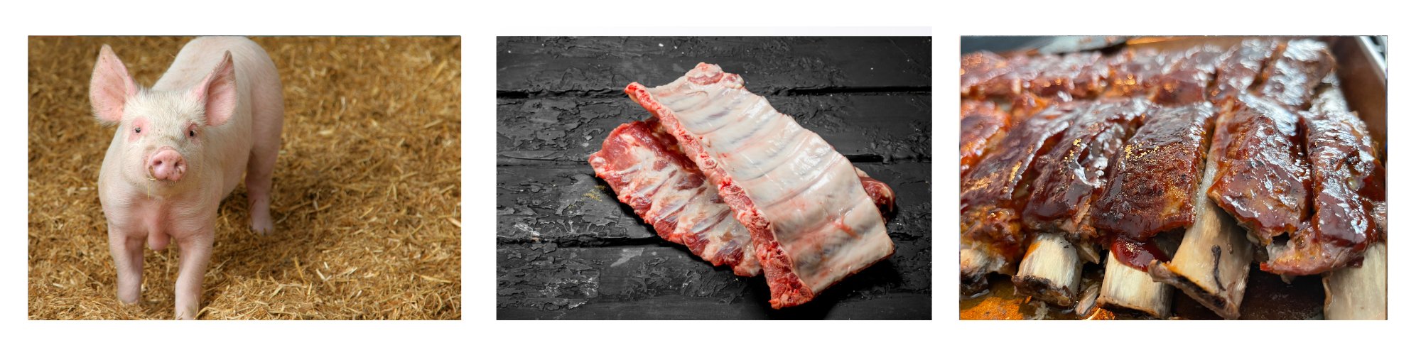 Spareribs / Baby Back Ribs / Schälrippchen