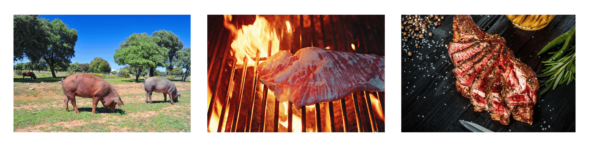 Iberico Nackensteaks Kategoriebild