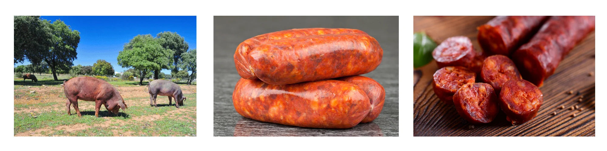 Chorizo Kategoriebild