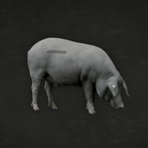 Darstellung der Lage des Secretos