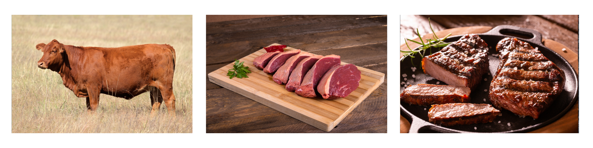 Skirt Steak
