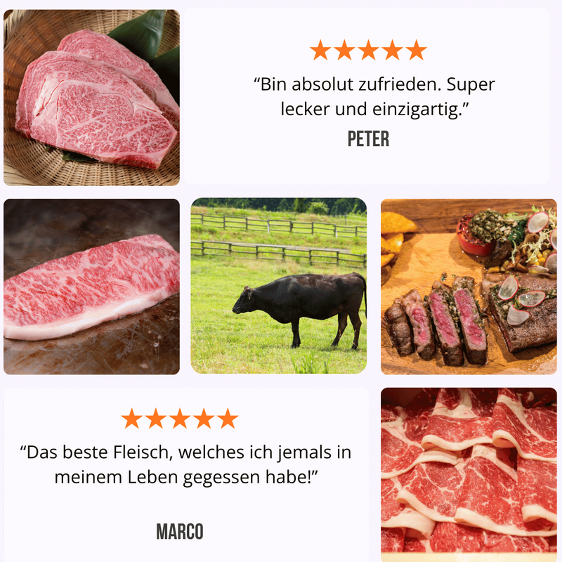 Filets | Solomillo | Premium Dry Aged aus Spanien | VACUM