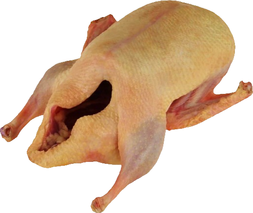 Eatventure Barbarie Ente, weiblich, im Ganzen